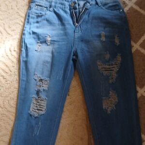 Wet n Wild High Rise Distressed Blue Jeans
